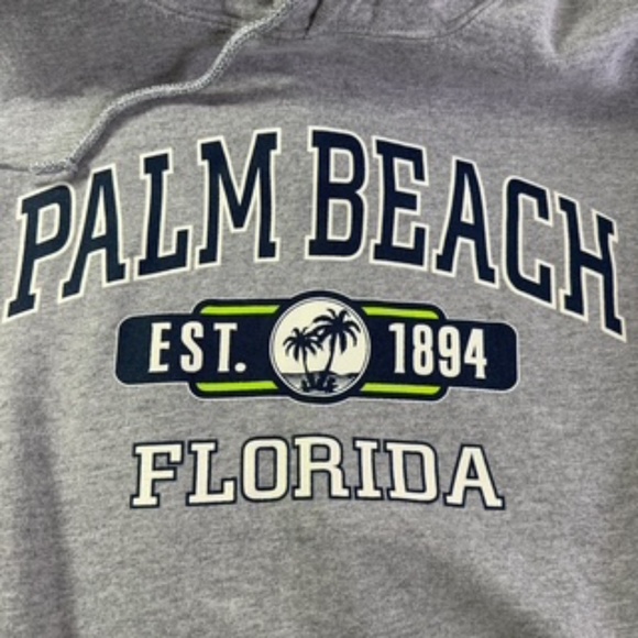 Gildan Heavy Drawstring Gray Hoodie with Palm Beach Logo Men's L - Picture 3 of 9